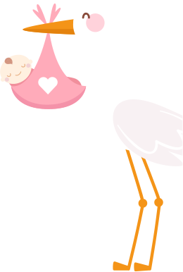 stork